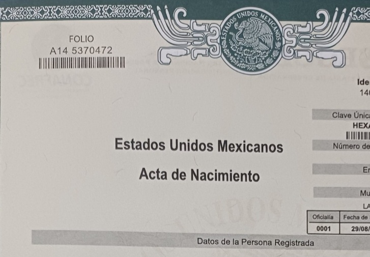 Descriptive text about the image